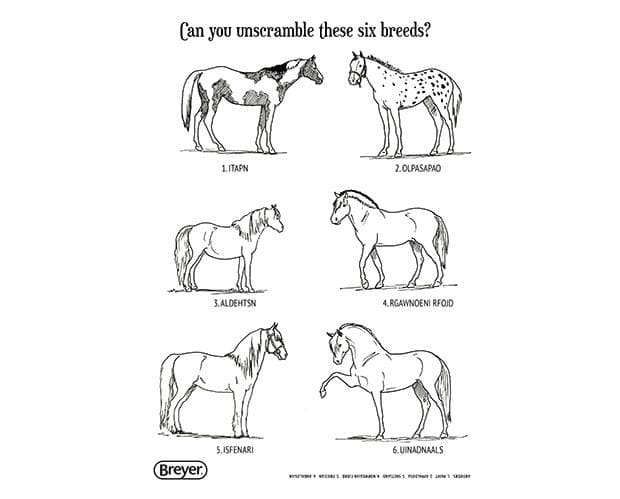 "H" is for Horse Coloring & Activity Book 4120