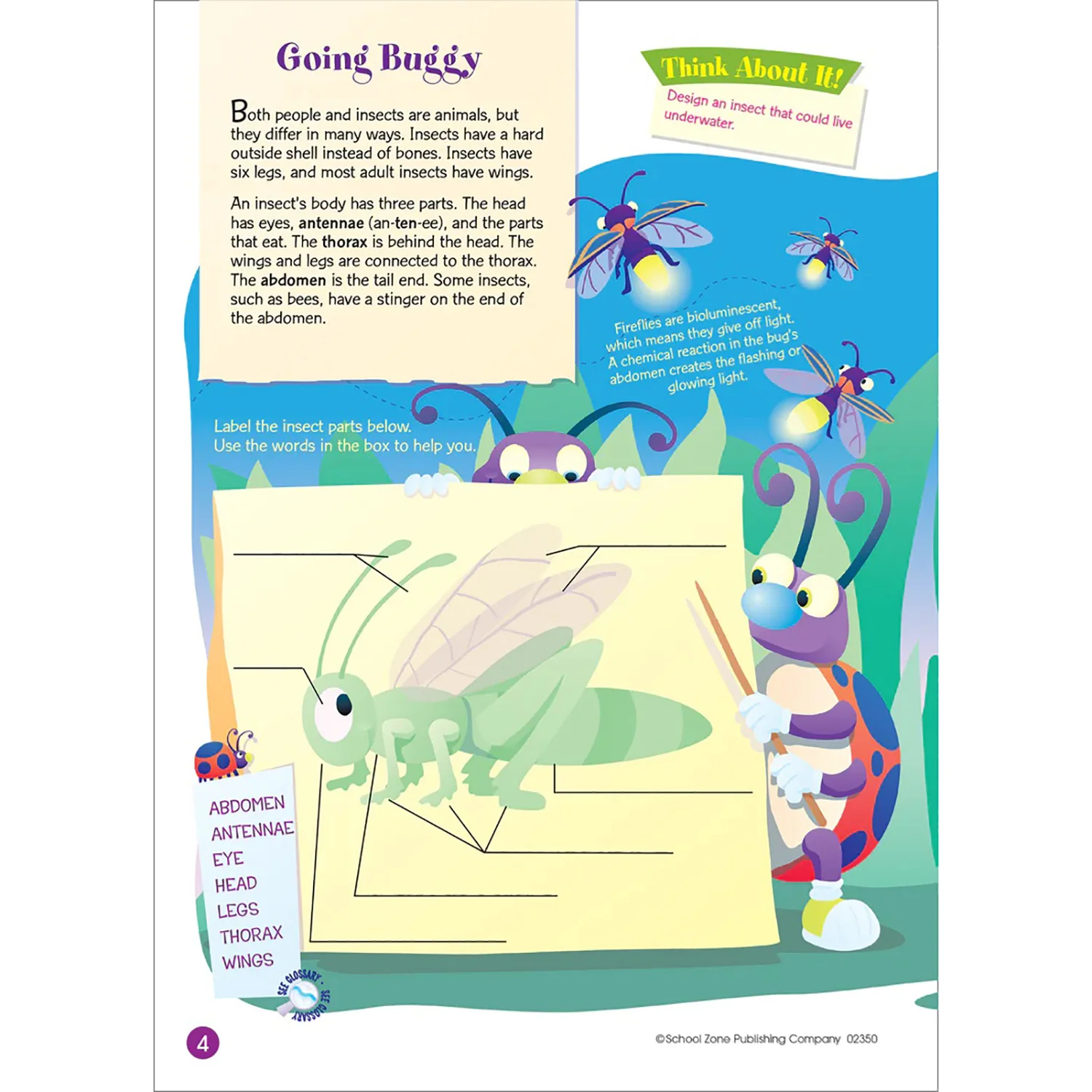 Word Searches Workbook 02350