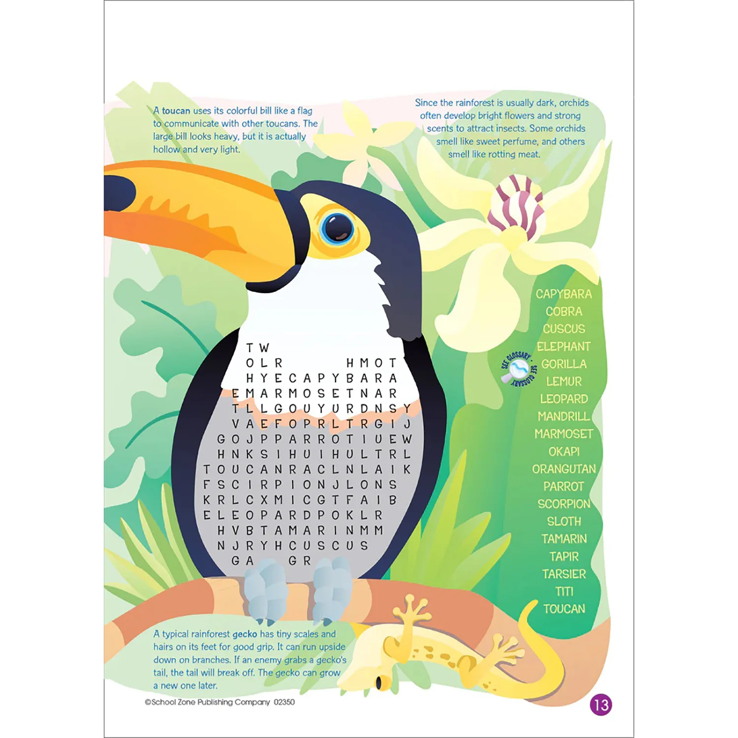Word Searches Workbook 02350