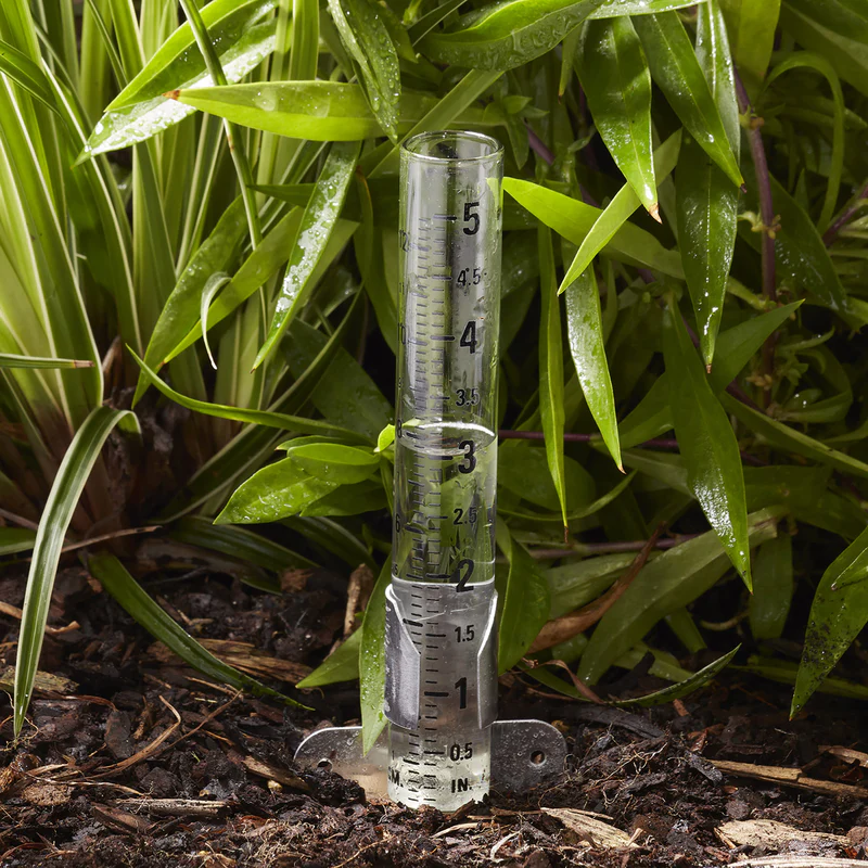 2556-5-inch-glass-rain-gauge-2710n-3.webp 5 Inch Glass Rain Gauge 2710N