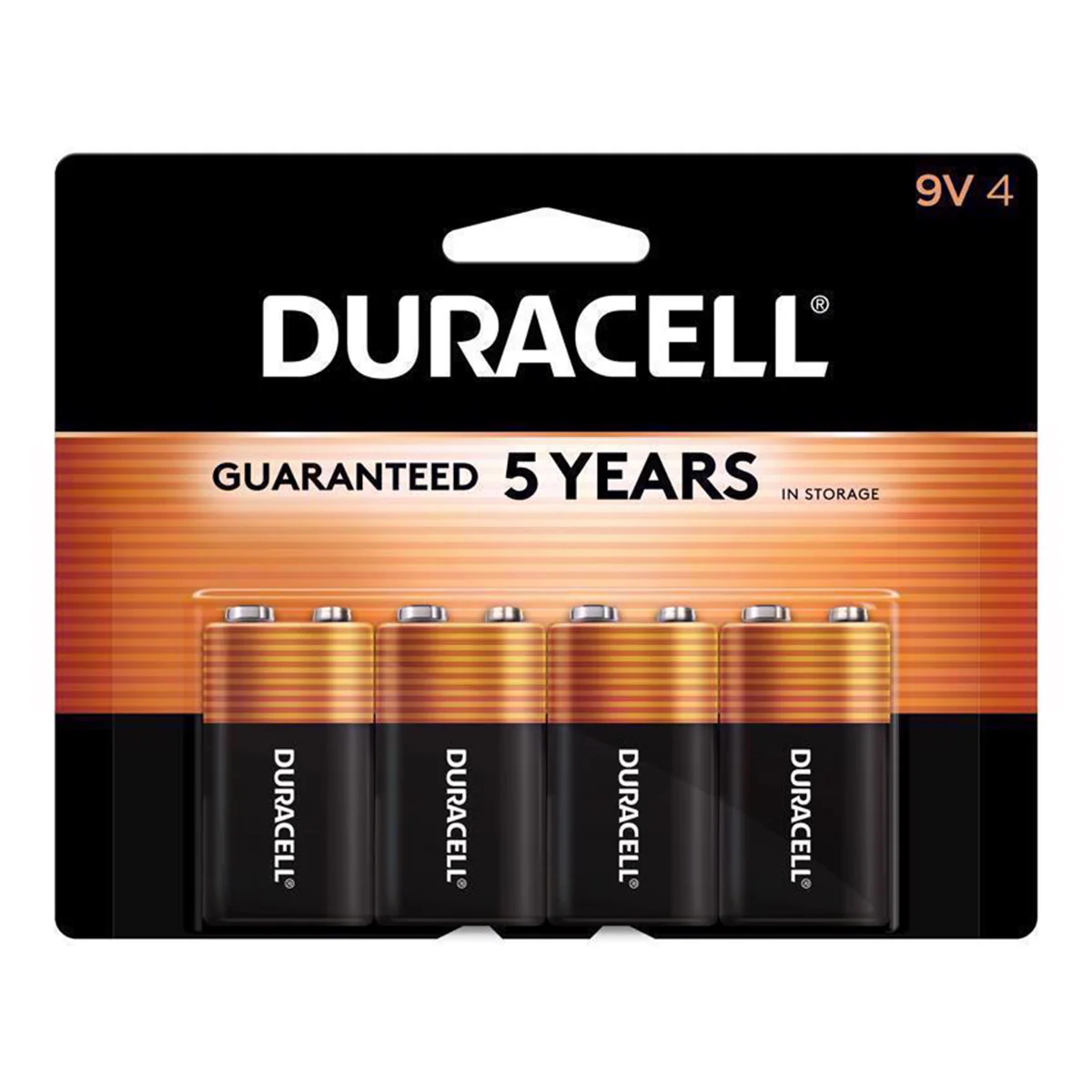 9V Alkaline Batteries MN160