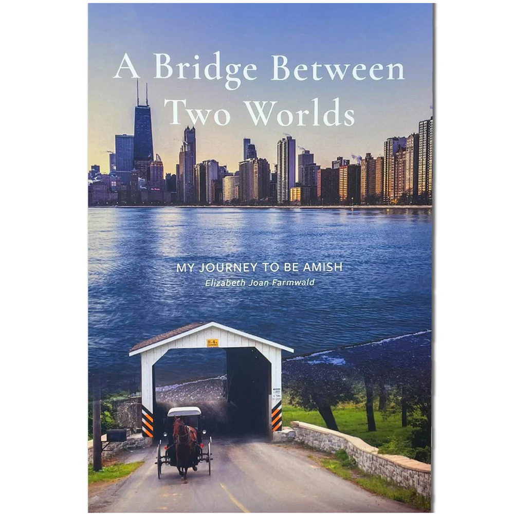 3202-a-bridge-between-two-worlds-9798218325091-1.webp A Bridge Between Two Worlds 9798218325091