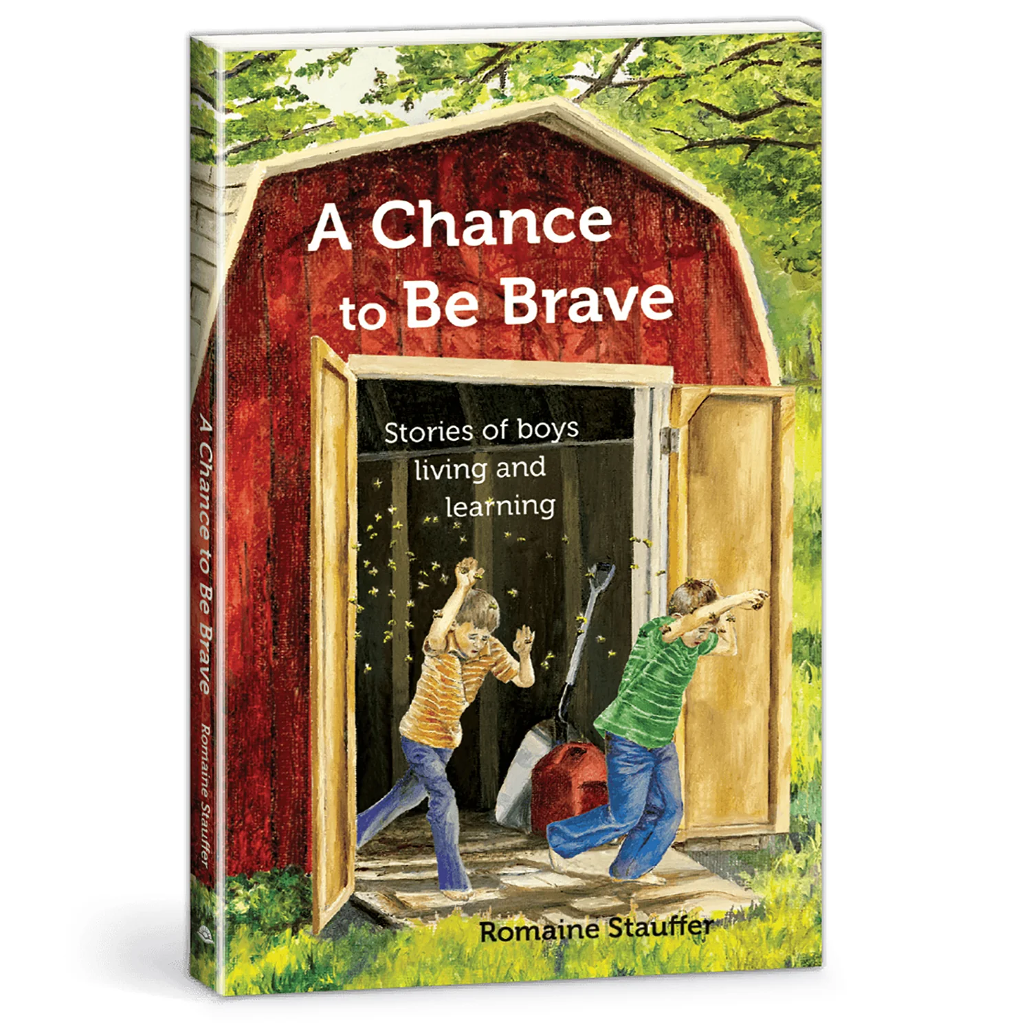 A Chance to Be Brave Book 265525