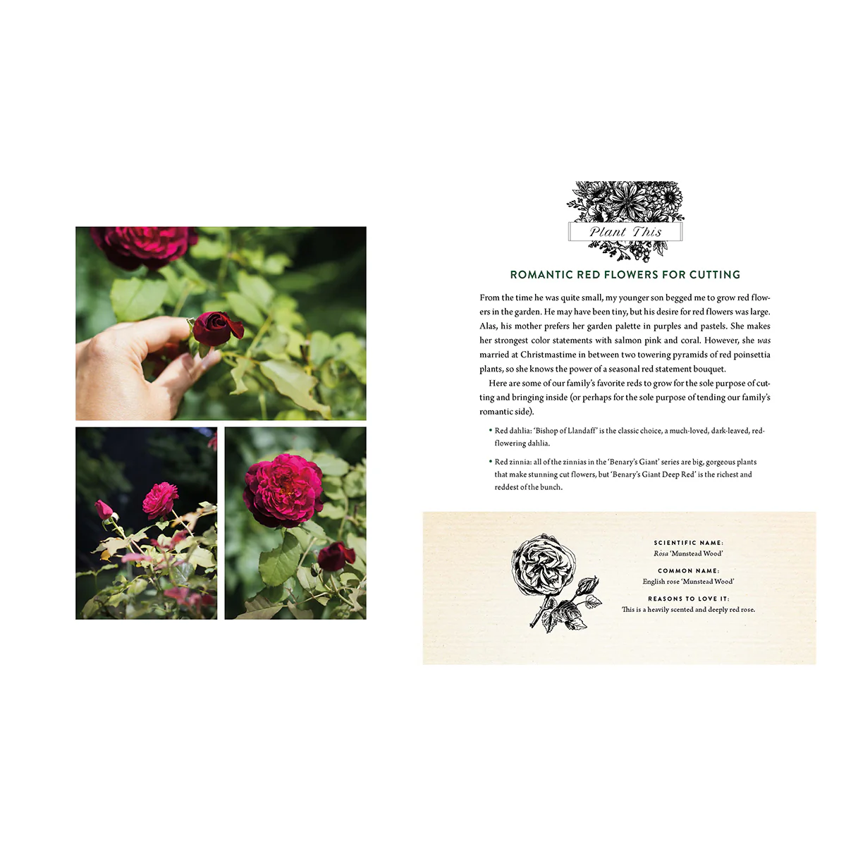 A Home in Bloom 985451
