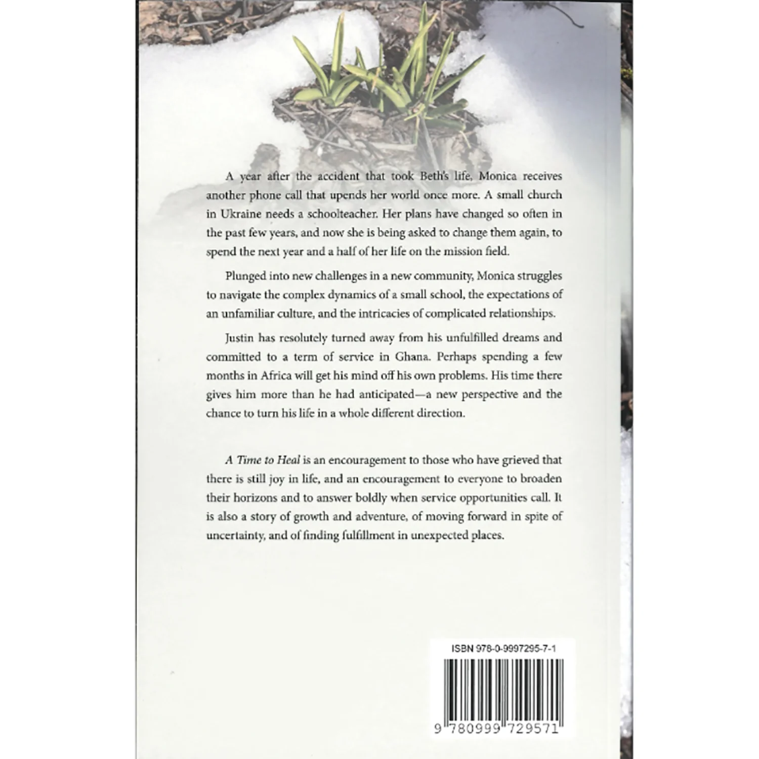 A Time to Heal Book by Emily Steiner