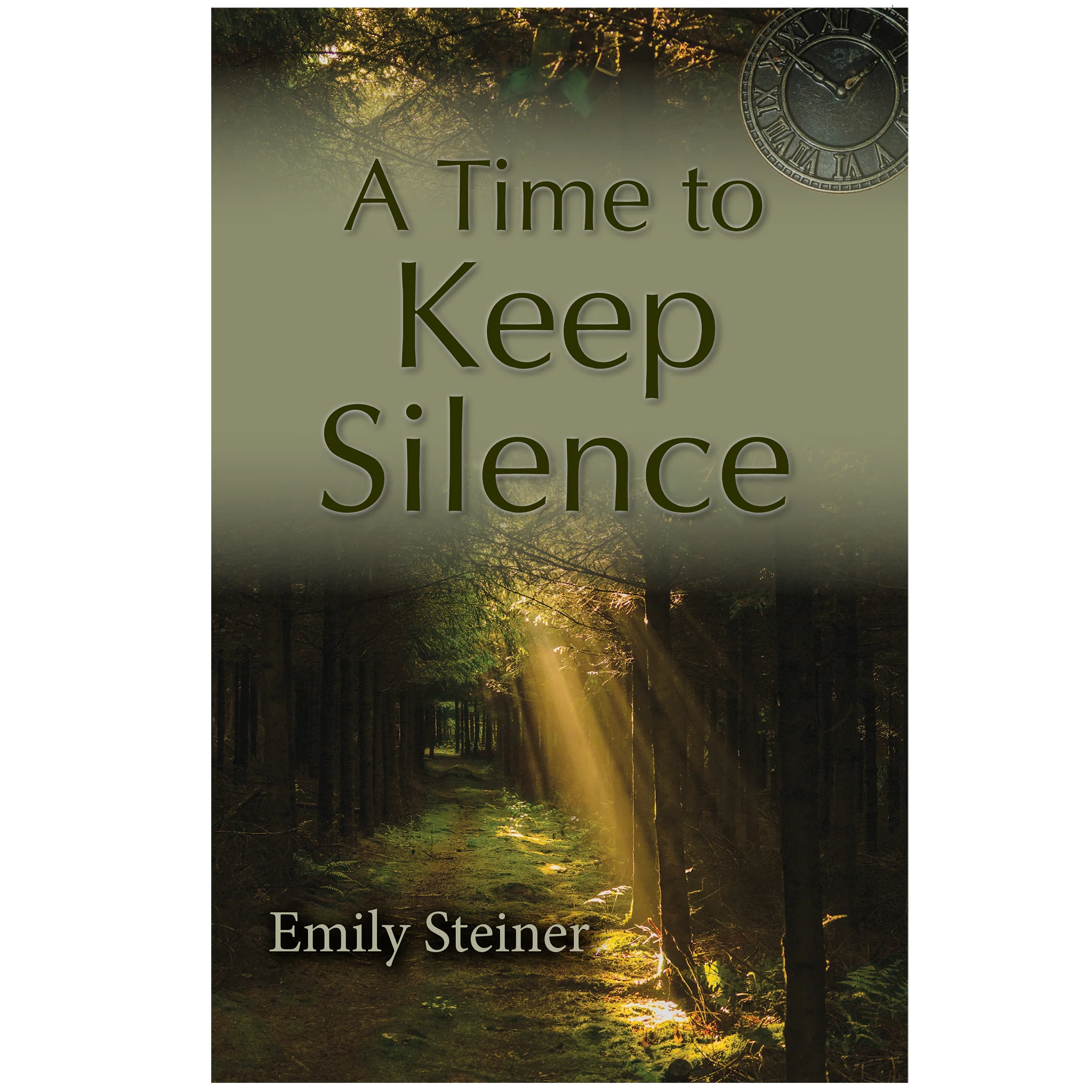 3276-a-time-to-keep-silence-book-by-emily-steiner-9780999729540-1.webp A Time to Keep Silence Book by Emily Steiner 9780999729540