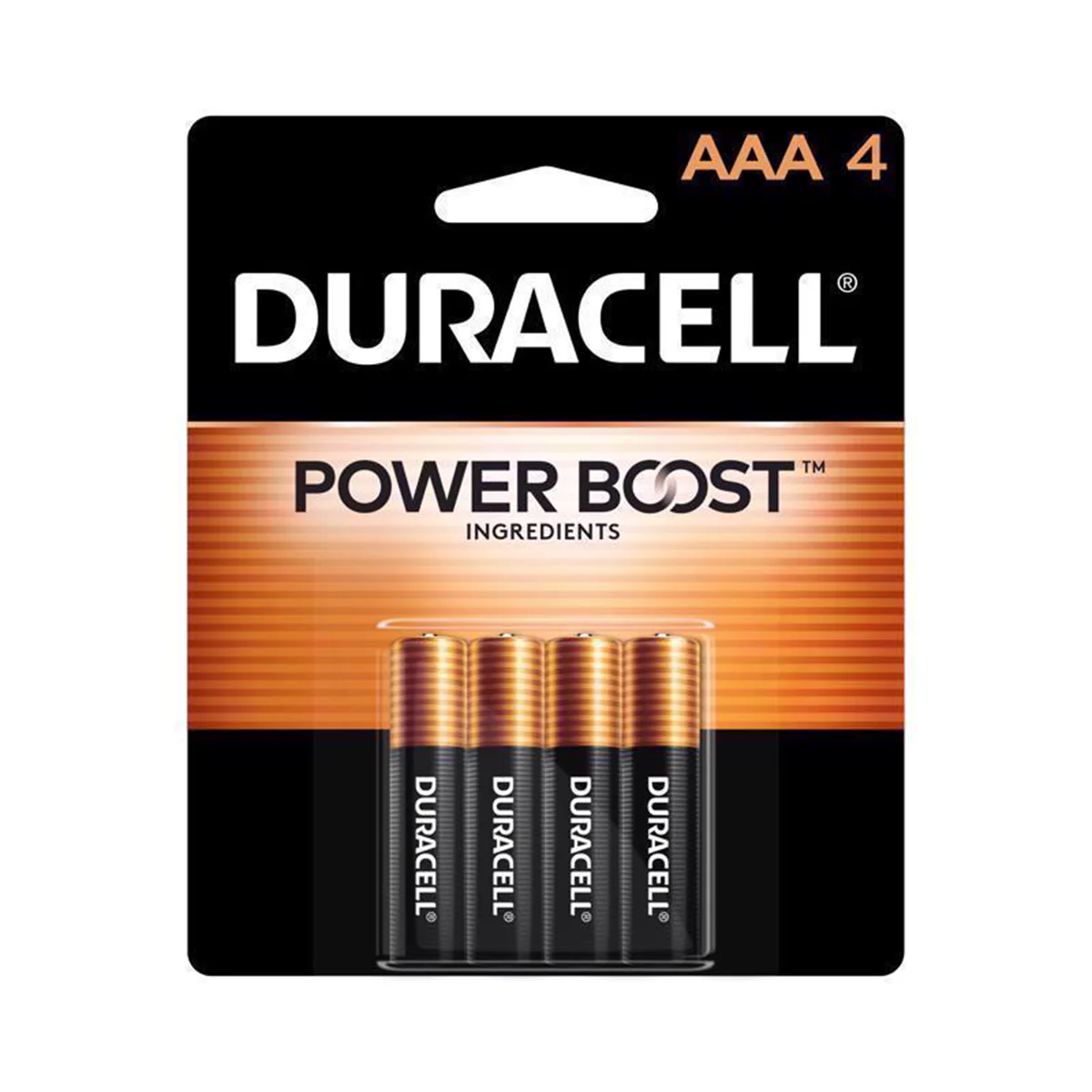 AAA Alkaline Batteries MN2400B