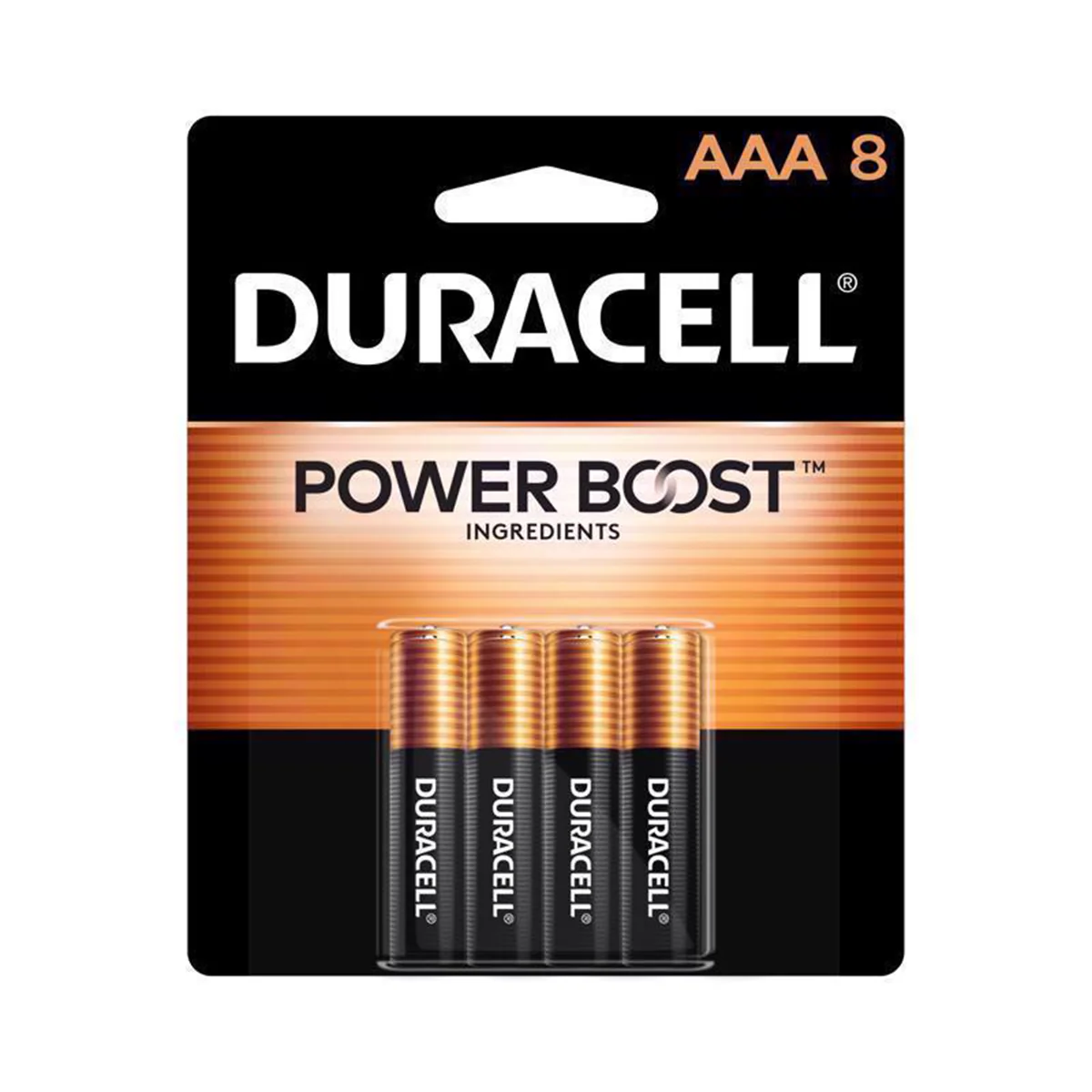 AAA Alkaline Batteries MN2400B