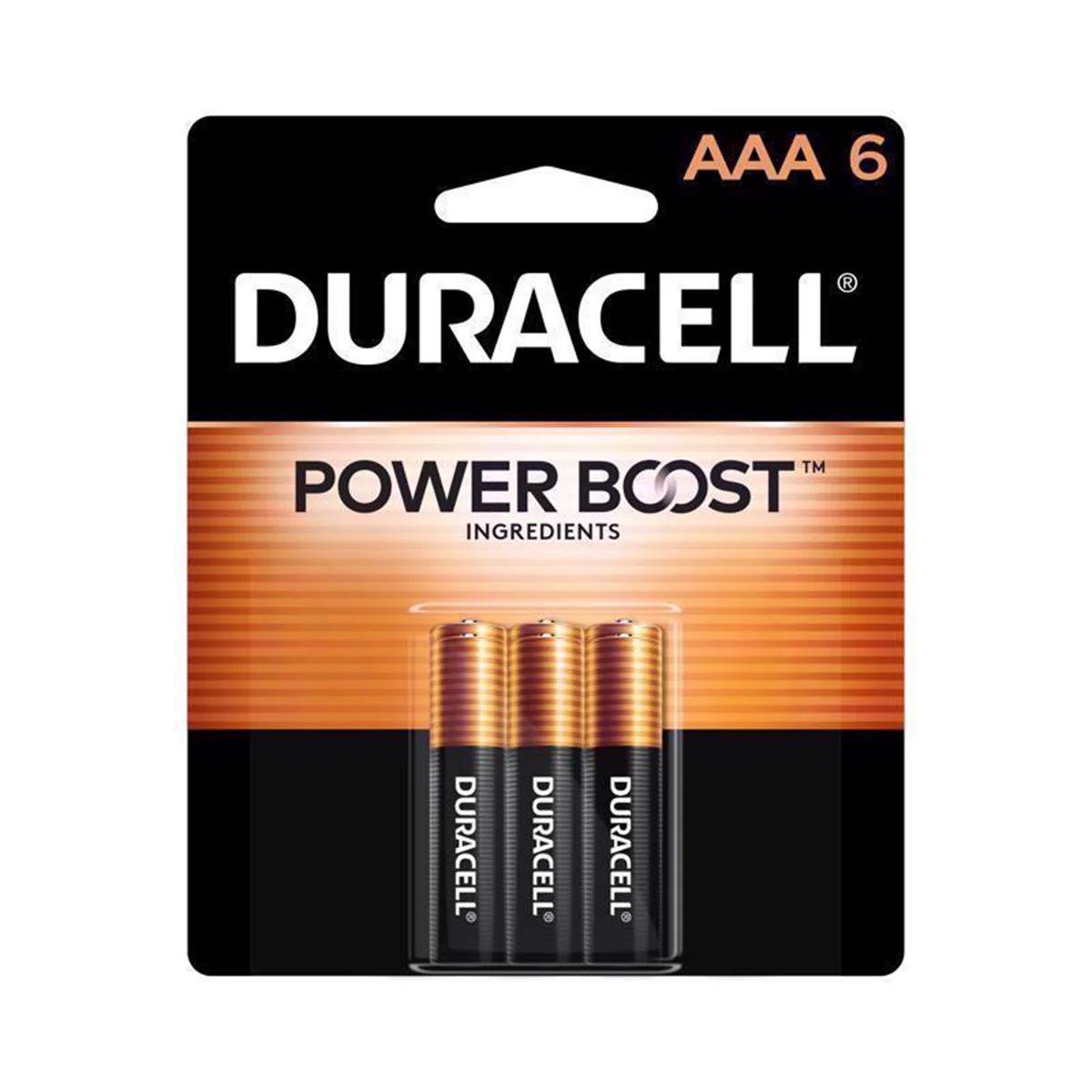 AAA Alkaline Batteries MN2400B