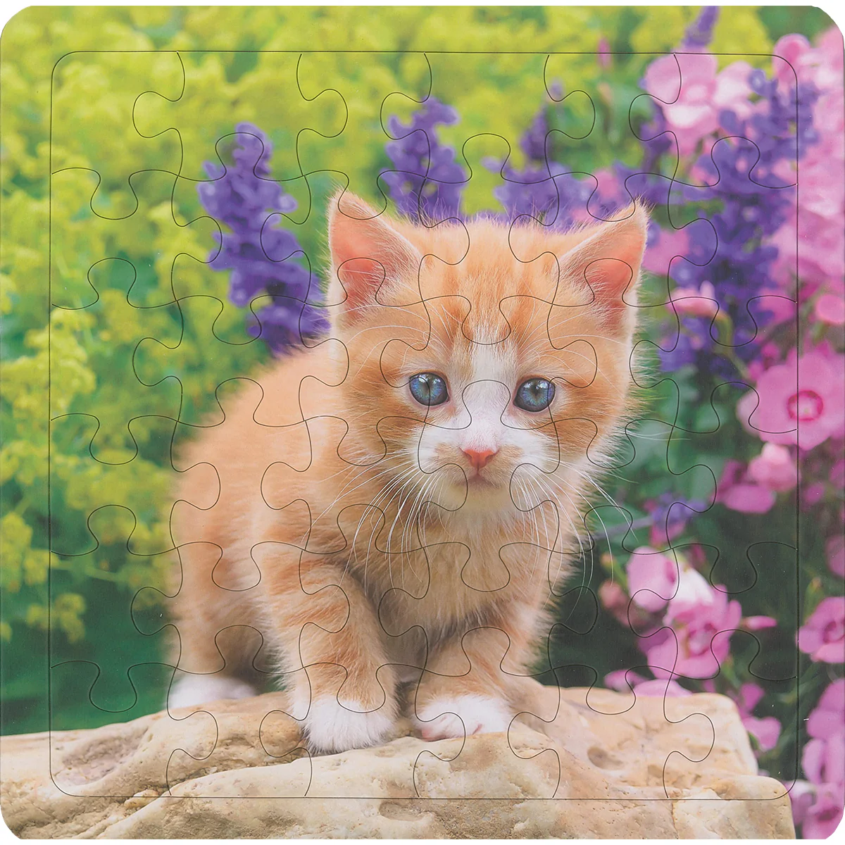 Adorable Kitten 36-Piece Frame Tray Puzzle CH8620
