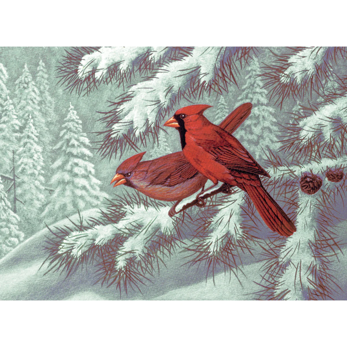 Adult Paint By Numbers Cardinals PAL23