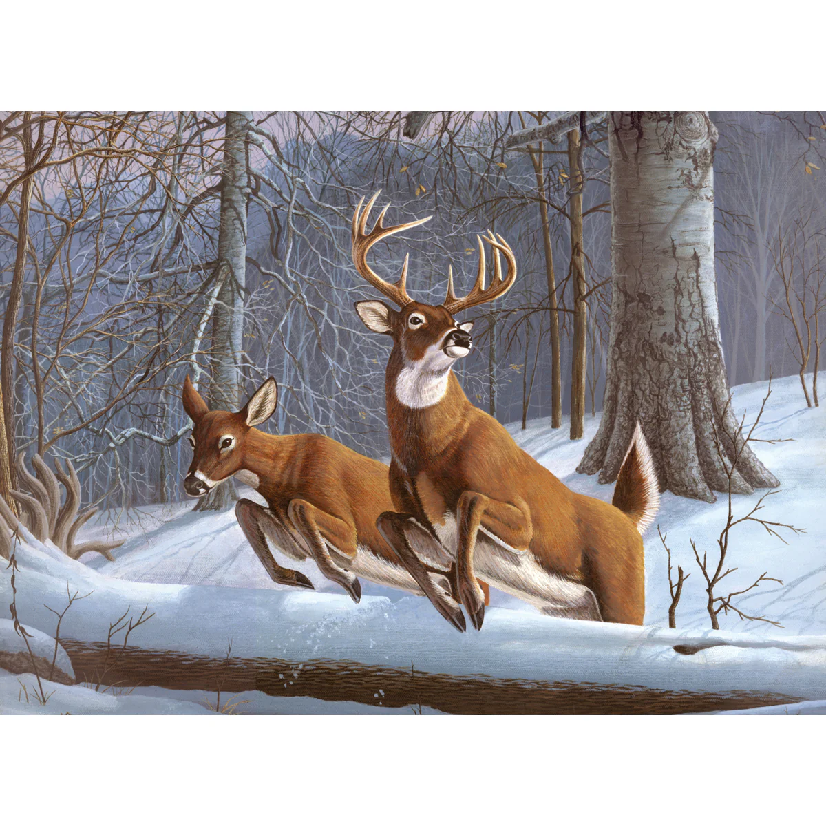 Adult Paint By Numbers White Tails PAL34