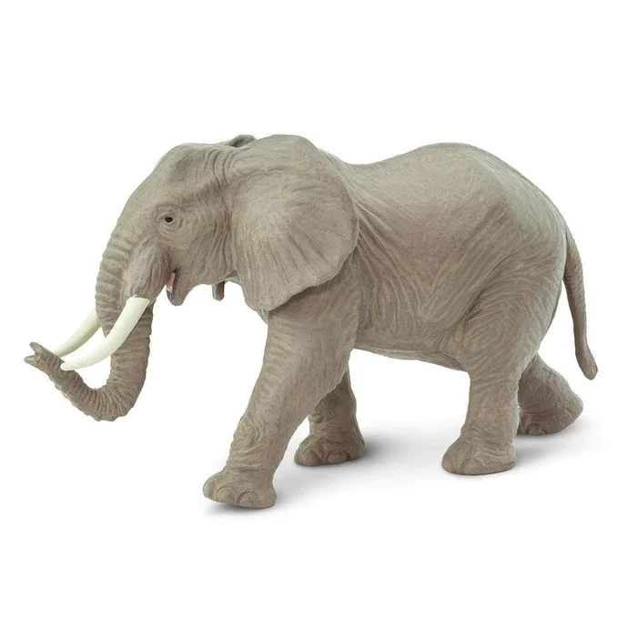 3579-african-elephant-270029-1.webp African Elephant 270029