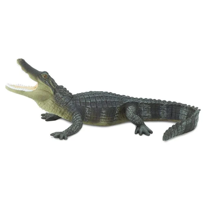 3886-alligator-276429-1.webp Alligator 276429