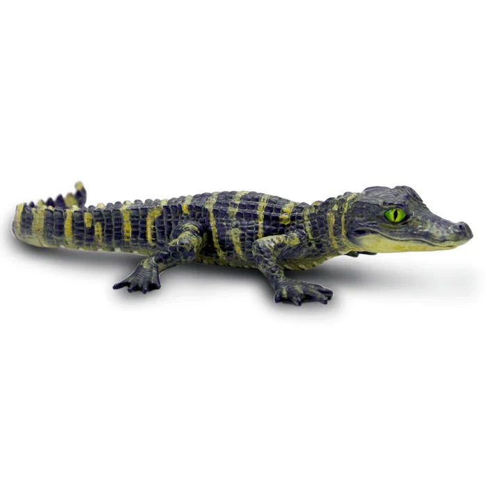 3887-alligator-baby-101073-1.webp Alligator Baby 101073