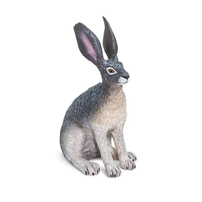 4011-american-desert-hare-182029-1.webp American Desert Hare 182029
