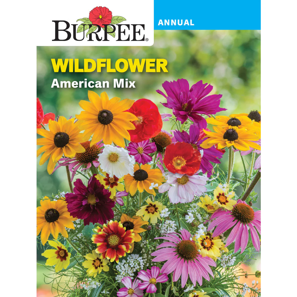 American Wildflower Seed Pack 38455