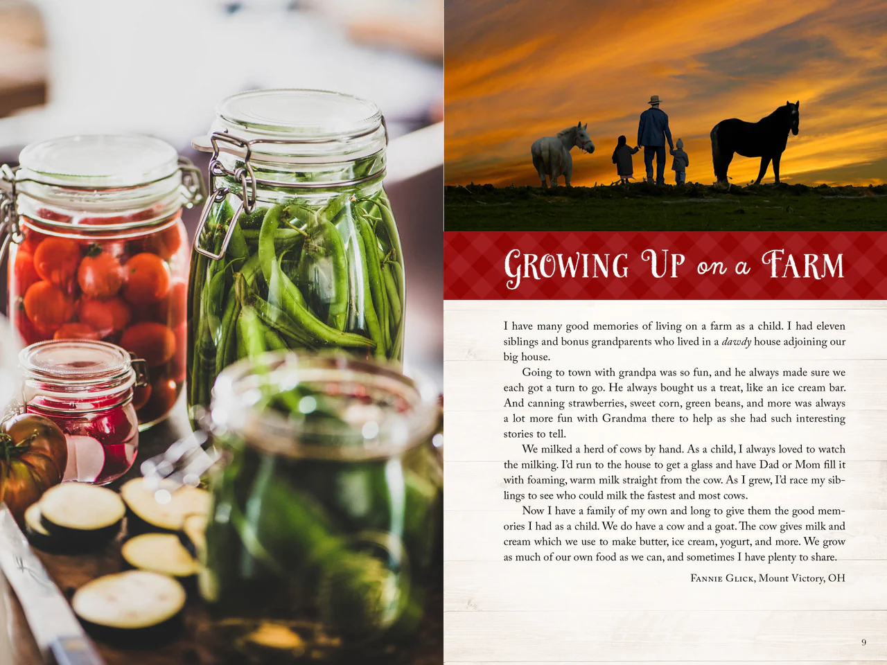 Amish Friends Farm-to-Table Cookbook 10975
