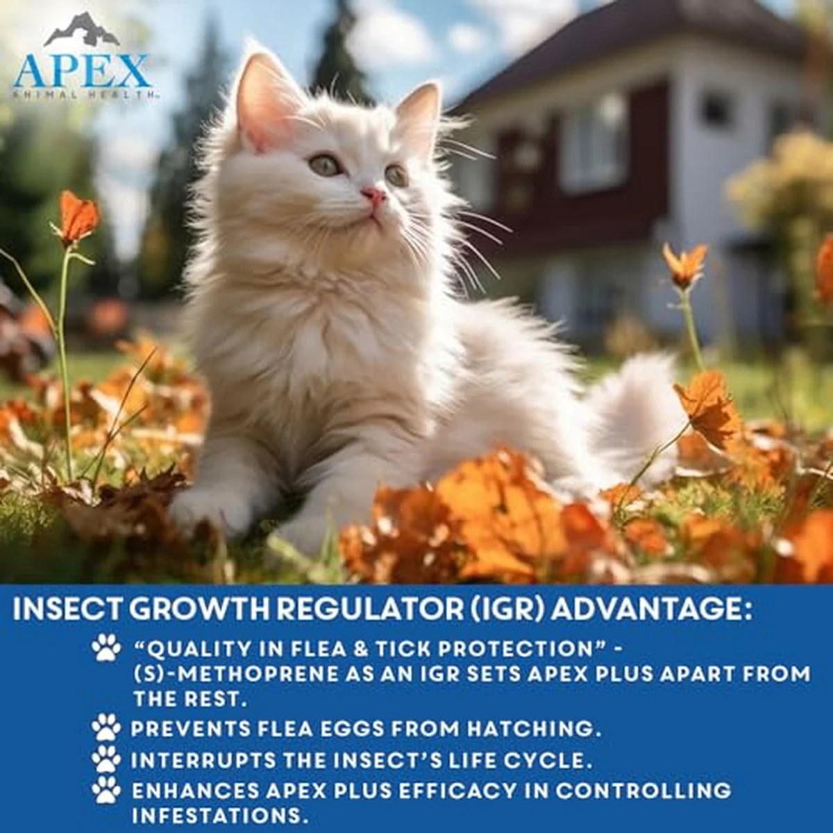 4294-apex-plus-flea-treatment-for-cats-1.5-lbs-3-month-supply-3.webp Apex Plus Flea Treatment for Cats, 1.5+ lbs 3-Month Supply