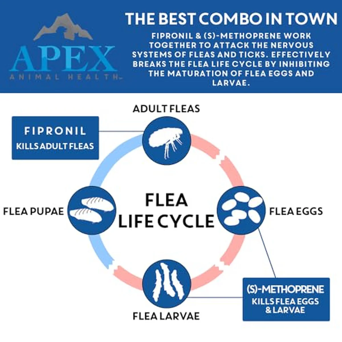 4294-apex-plus-flea-treatment-for-cats-1.5-lbs-3-month-supply-4.webp Apex Plus Flea Treatment for Cats, 1.5+ lbs 3-Month Supply