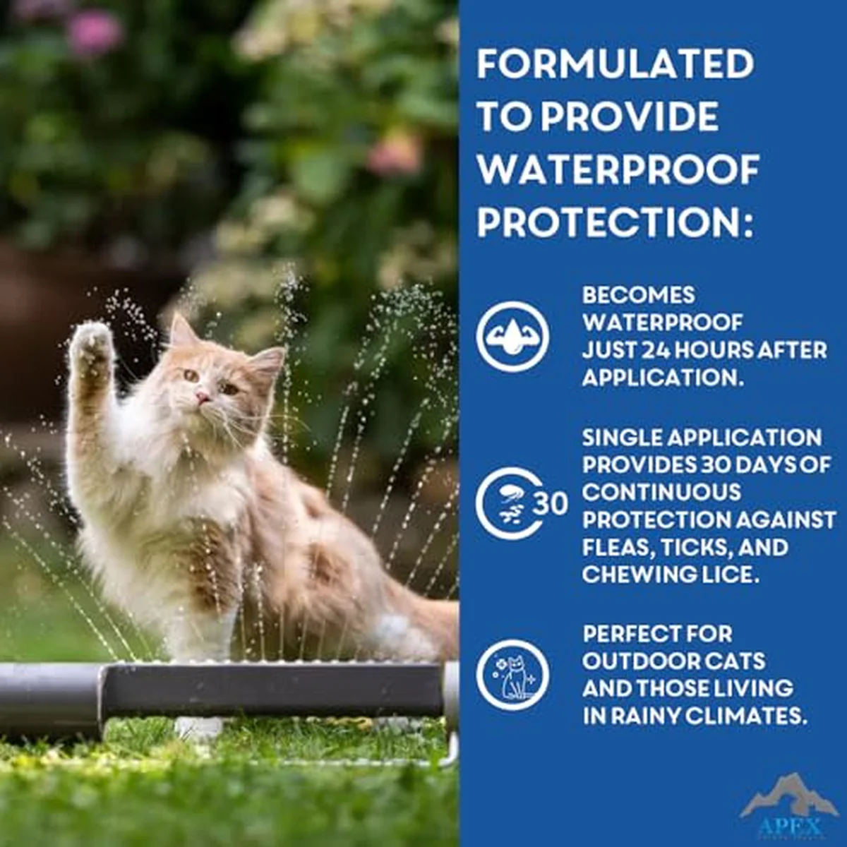 4294-apex-plus-flea-treatment-for-cats-1.5-lbs-3-month-supply-6.webp Apex Plus Flea Treatment for Cats, 1.5+ lbs 3-Month Supply