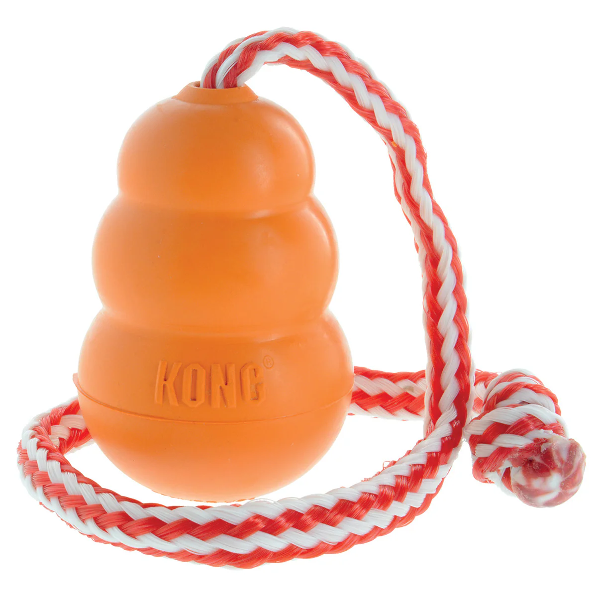 Aqua Floating Retrieval Dog Toy Large