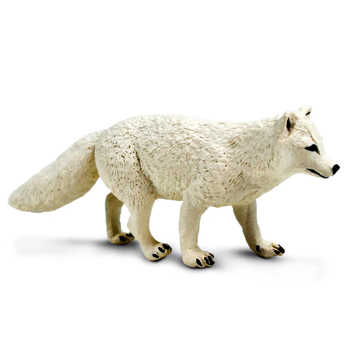 4323-arctic-fox-100731-1.webp Arctic Fox 100731