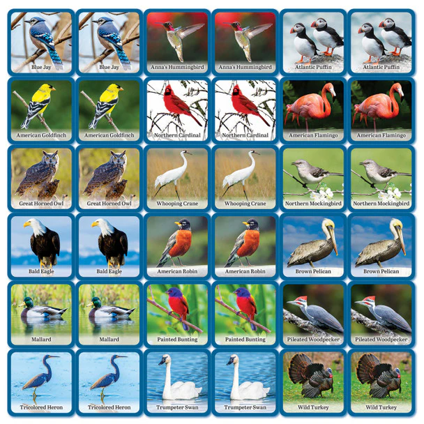 Audubon Bird Matching Game 42323