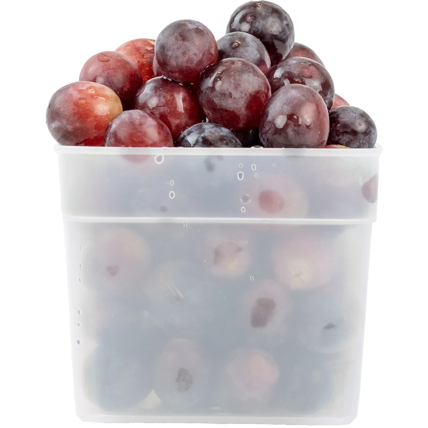 1.5 Pint Size Freezer Boxes 6 Pack FT4300 1.5 PT